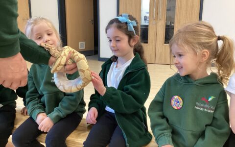 Snake, children in green uniform.